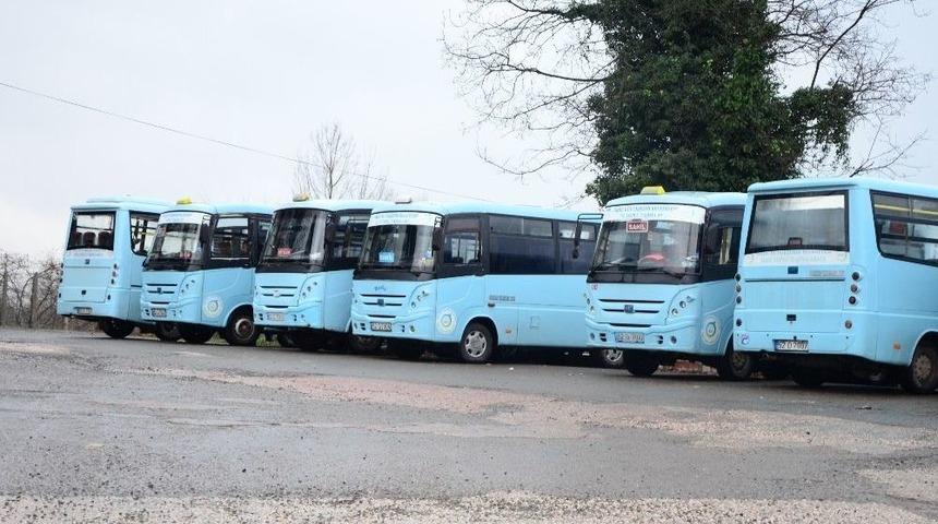 Fatsa’da Günde 18 Bin Yolcu Taşıyorlar