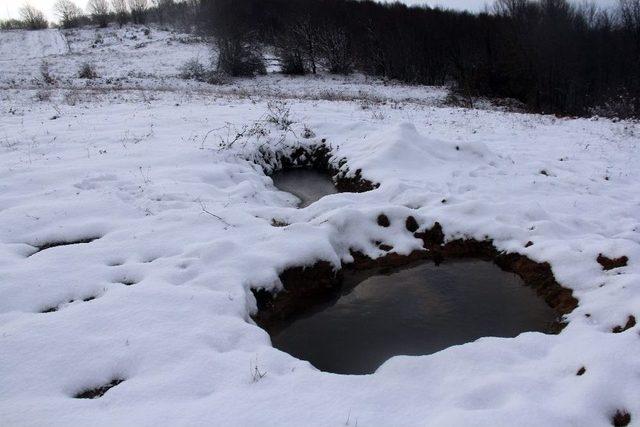 Kocaeli’de 2 Ceset Bulundu, 7 Kişi Gözaltına Alındı