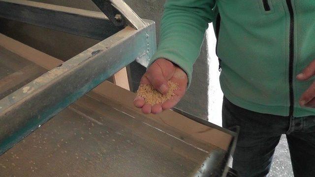 (&ouml;zel Haber) Yarım Asırlık Değirmende Kışlık Telaşı 3