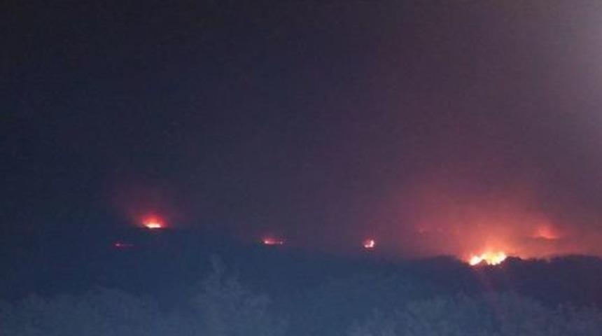 Alevler 8.5 Hektarlık Makilik Alanı K&uuml;le &Ccedil;evirdi