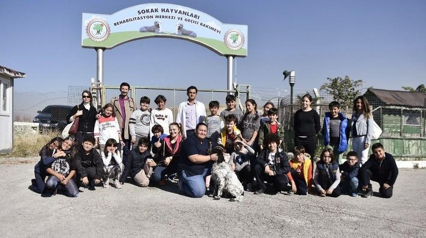 Mamaklı Miniklere Hayvan Sevgisi Aşılandı