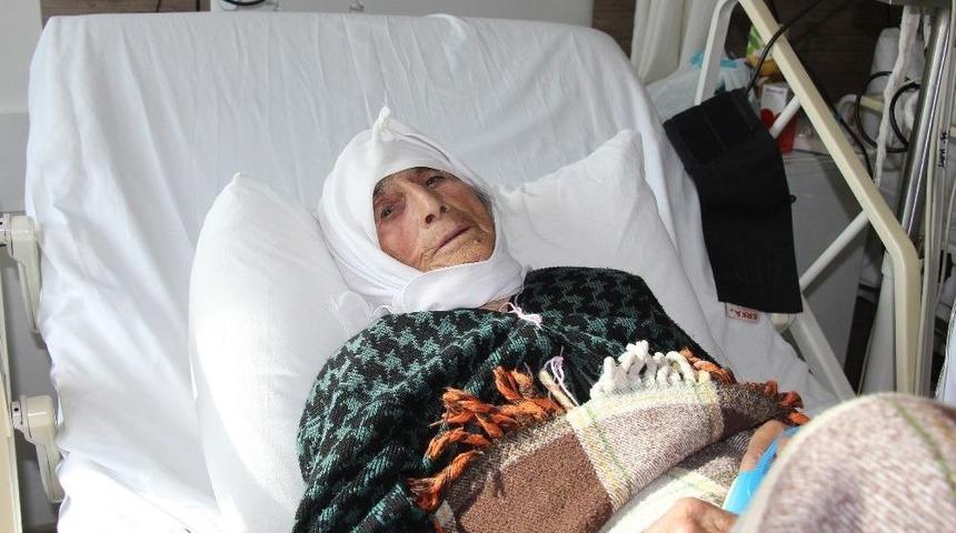 Demokrasi Nöbetine Eşeği İle Katılan Emine Nine Hastanede Tedavi Altında