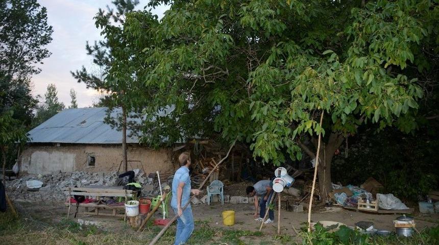 Gevaş&rsquo;ta Cevizde Hasat Mevsimi Başladı