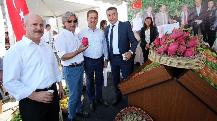 &Ccedil;ukurova&rsquo;nın Tarımsal &Uuml;r&uuml;nleri Lezzet Festivali&rsquo;nde Sergilendi