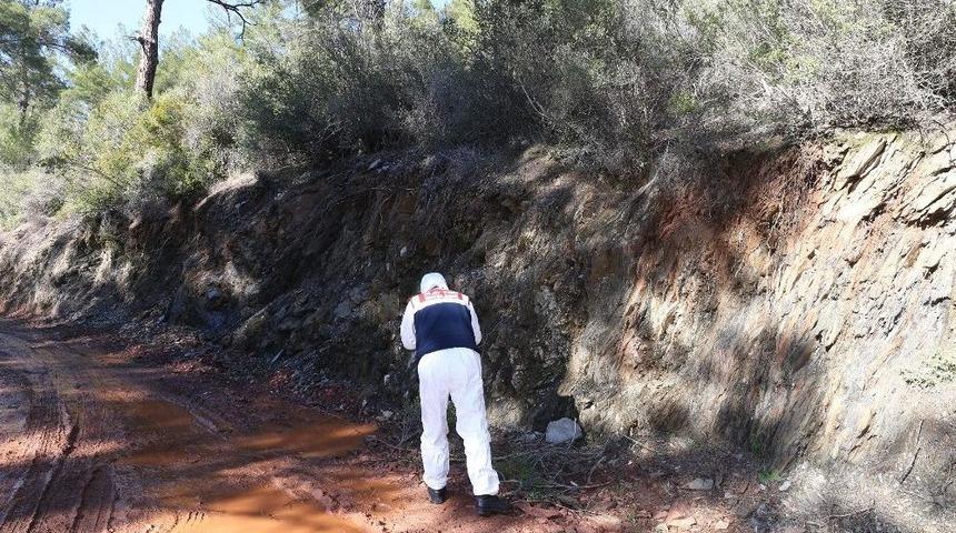 Çalı Kesmek İçin Tırmandığı Yamaçtan Düşerek Öldü