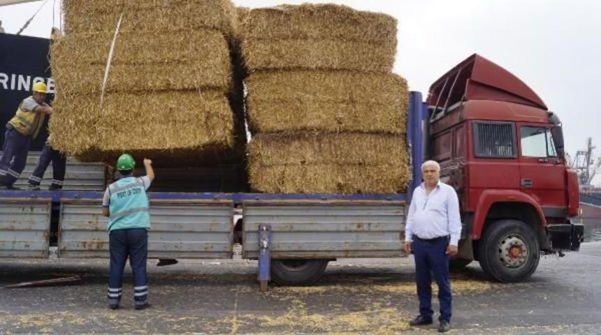 Bulgaristan'dan Saman Geldi