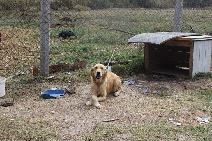 Fetö/pdy’ye Ait Demirbaşlar İhale İle Satılıyor G2