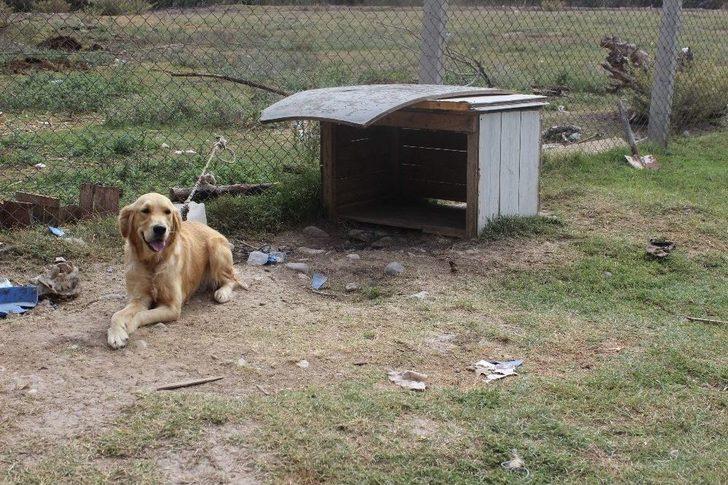 Fetö/pdy’ye Ait Demirbaşlar İhale İle Satılıyor G3