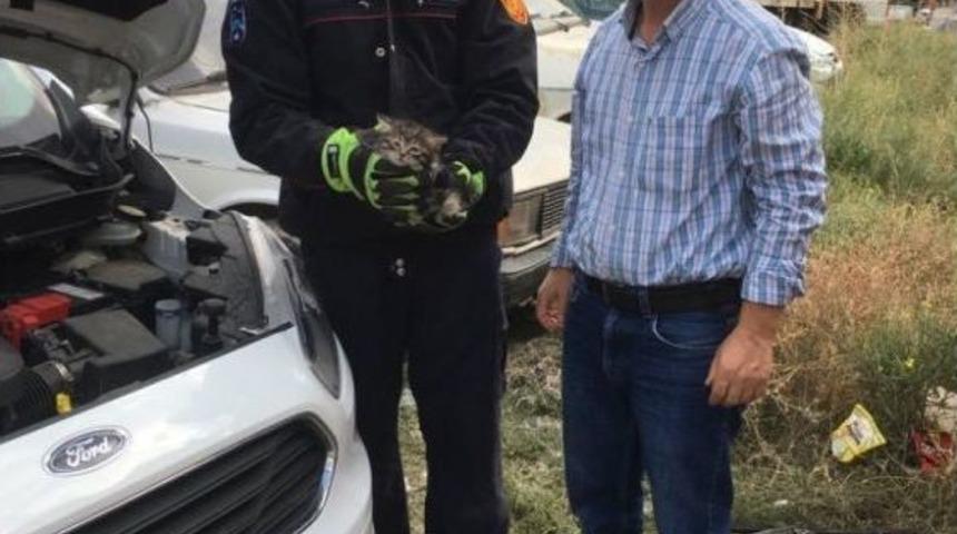 Otomobilin Motoruna Giren Kedi Yavrusunu İtfaiye Kurtardı