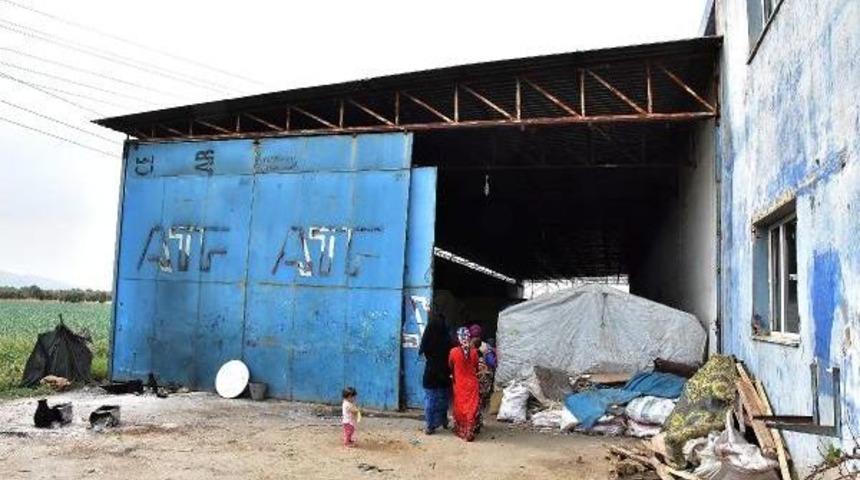 Suriyeli &Ccedil;ocuklara Koro S&uuml;rprizi