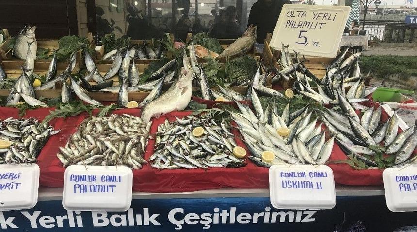 Palamudun Tanesi 5 Liraya D&uuml;şt&uuml;