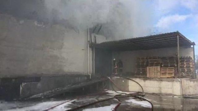 Hadımköy de Lojistik Deposunda Yangın (1) 2