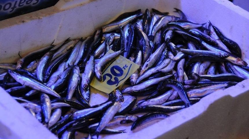 Hamsinin Fiyatını G&ouml;ren Tezgahtan Ka&ccedil;ıyor