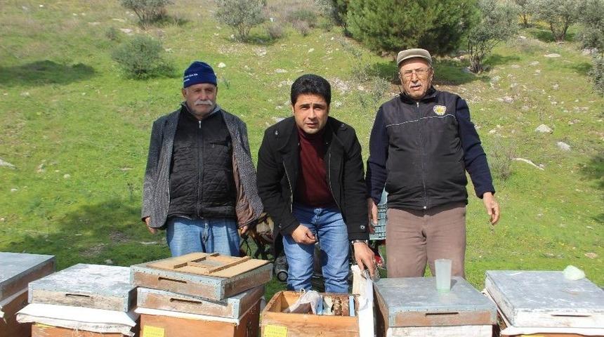 Aydın&rsquo;da Arıcılar İsyan Etti