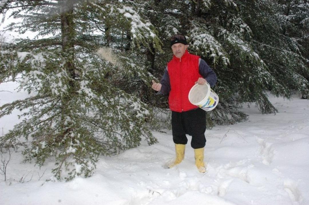 (&ouml;zel) Kahramanmaraşlı Robinson