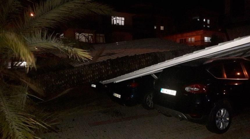 Anamur&rsquo;da Hurma Ağacı Devrildi, İki Ara&ccedil; Altında Kaldı