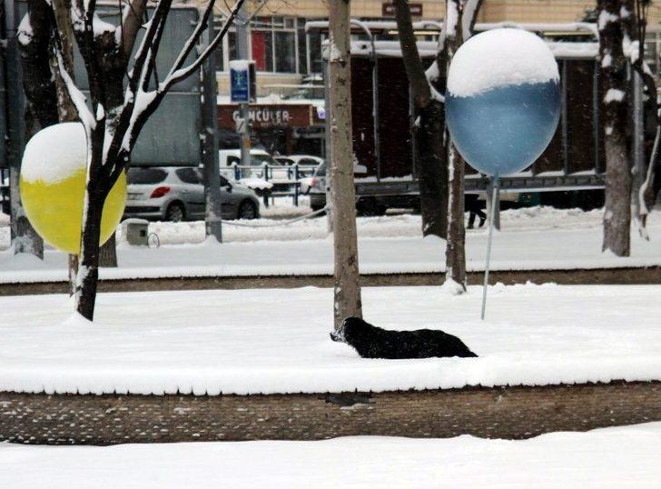 Kayseri’de Kar Yağışı Etkili Oldu, Ortaya Kartpostallık Görüntüler Çıktı G1