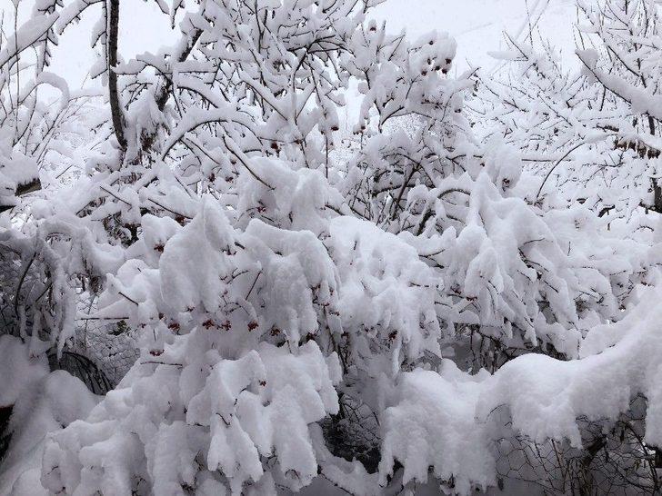 Kar İlçeyi Kapladı, Yollar Kapandı, Elektrikler Gitti G2