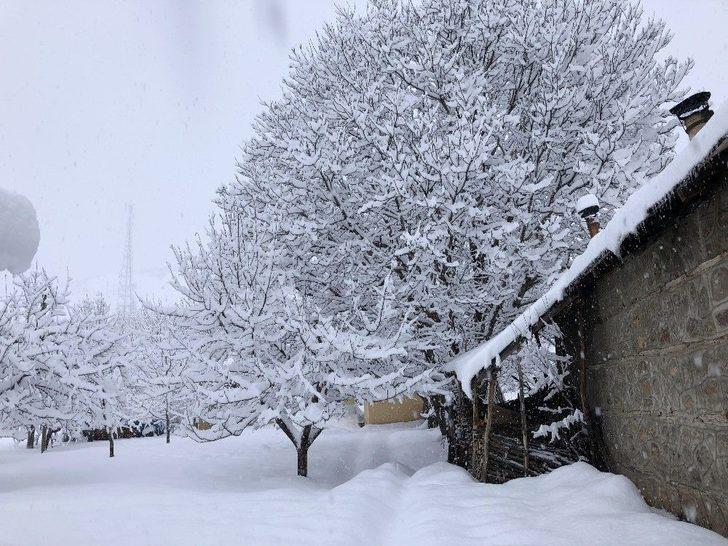 Kar İlçeyi Kapladı, Yollar Kapandı, Elektrikler Gitti G4