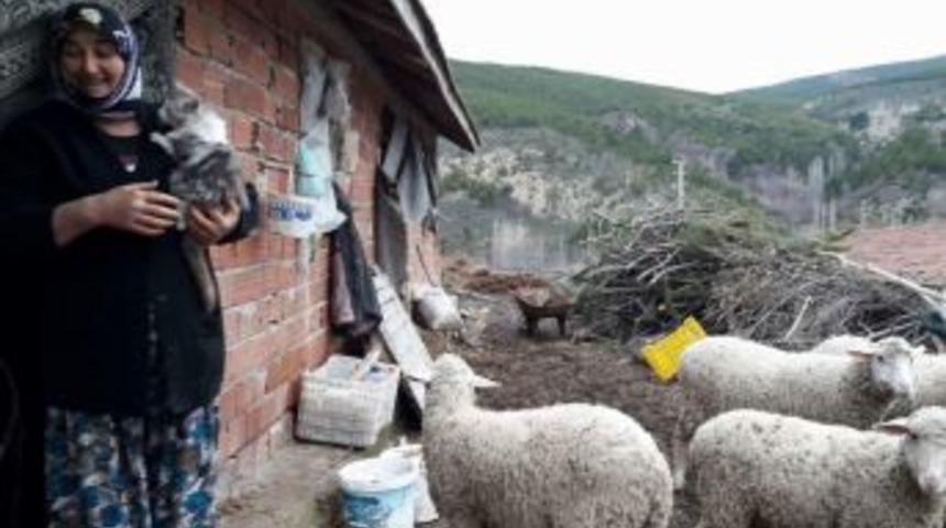 Başkan Rasim Daşhan: &Uuml;reticimizin Derdi Bizim Derdimizdir