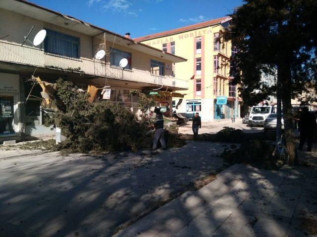 Denizli’de Fırtına Ağaçları Yerinden Söktü, İşyerlerinin Tentelerini Devirdi