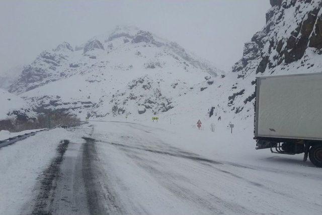 Eleşkirt’te Trafik Kazası: 1 Yaralı