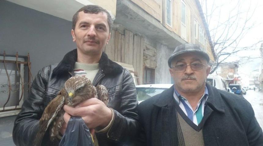 Yaralı Atmacaya Sahip &Ccedil;ıktı