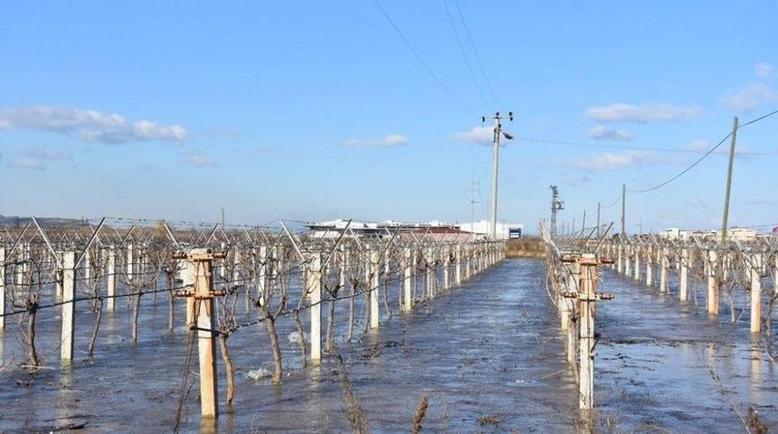 &Uuml;z&uuml;m Bağlarını Buz Tuttu, &Uuml;retici Sevindi