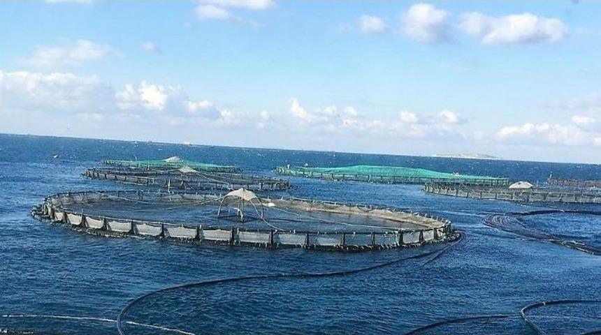 Karadağ&rsquo;da Balık&ccedil;ılık Sekt&ouml;r&uuml;ne Tika Desteği