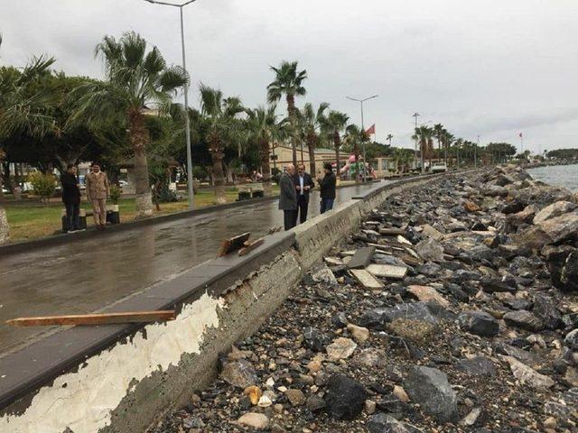 Başkan Seyfi Dingil Sahilde Yapılan Çalışmaları İnceledi