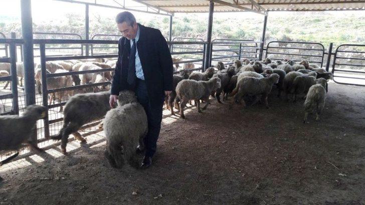 Gthb’dan Ayvalıklı 2 Çiftçiye 60 Bin Liralık Hibe Kredi Desteği G3