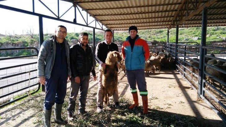 Gthb’dan Ayvalıklı 2 Çiftçiye 60 Bin Liralık Hibe Kredi Desteği G4