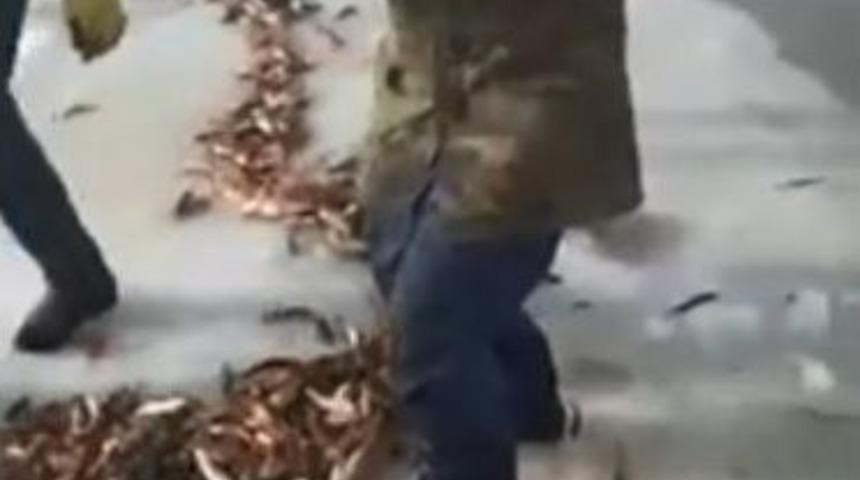 Ağrı’da Buz Tutan Derede Balık Tutan Vatandaşların Sevinci