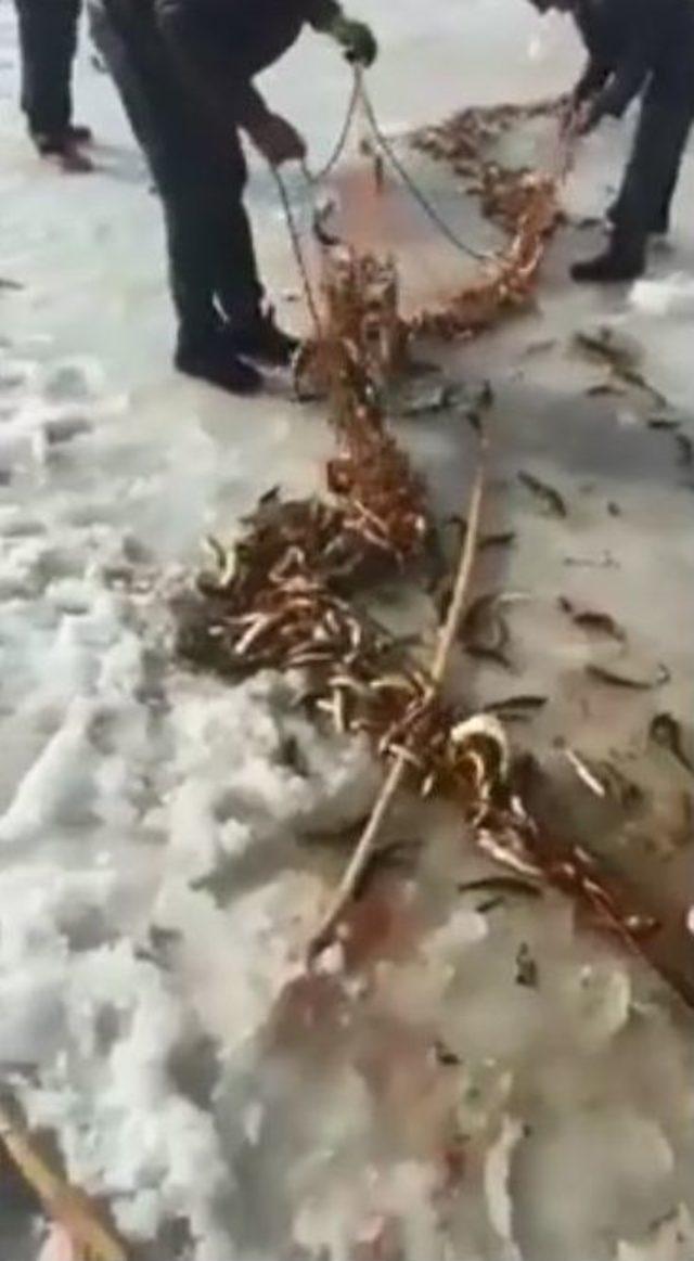 Ağrı’da Buz Tutan Derede Balık Tutan Vatandaşların Sevinci