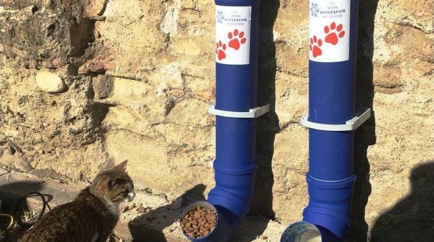 Sokak Hayvanları İ&ccedil;in Beslenme Odakları Yerleştirildi