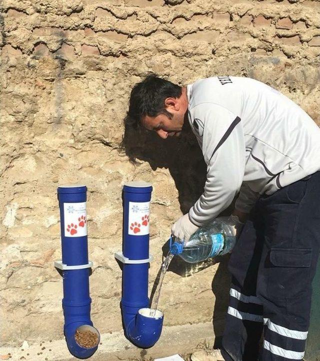 Sokak Hayvanları İçin Beslenme Odakları Yerleştirildi