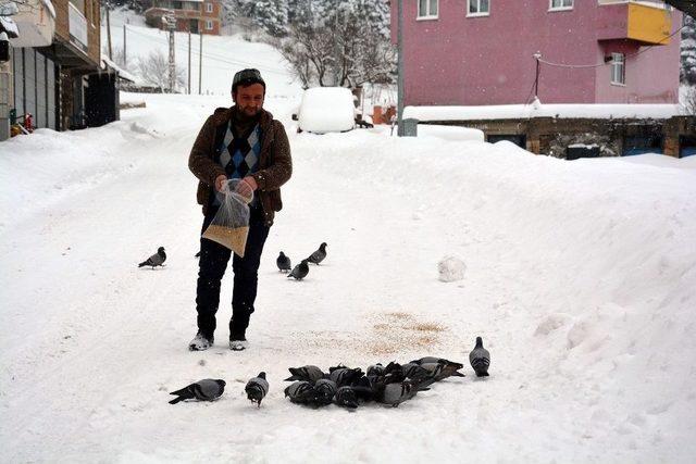 Karda Hayvanlar Ölmesin Diye Ekmek Ve Yem Veriliyor