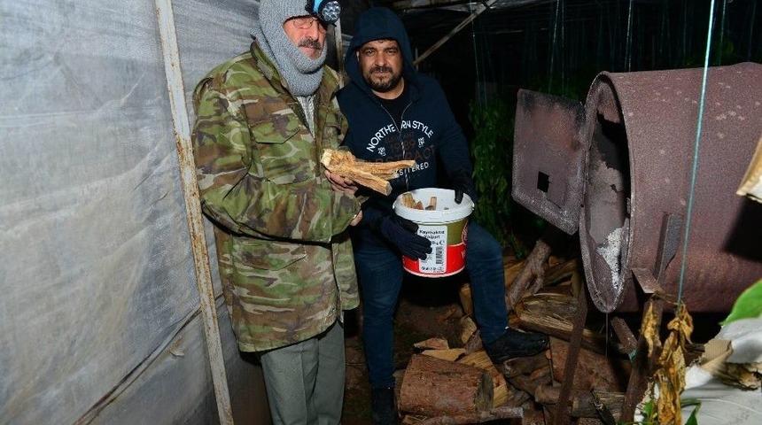 Antalya&rsquo;da Seralarda Don N&ouml;beti