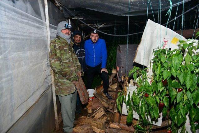 Antalya’da Seralarda Don Nöbeti