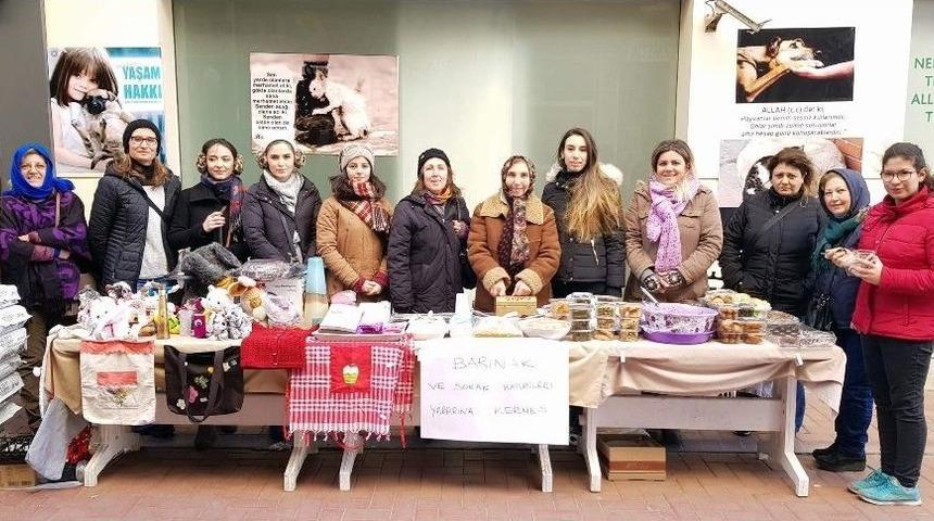 Sokak Canlılarına Destek İ&ccedil;in Kermes Yapıp Soyundular