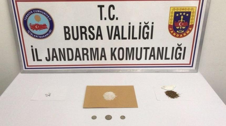 Jandarma Ekiplerinden Uyuşturucu Operasyonu
