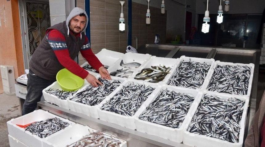 Ordulu Balık&ccedil;ılar Hamsinin Peşine G&uuml;rcistan&rsquo;a Gitti