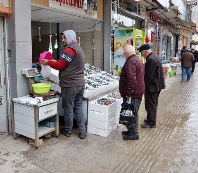 Ordulu Balıkçılar Hamsinin Peşine Gürcistan’a Gitti 1