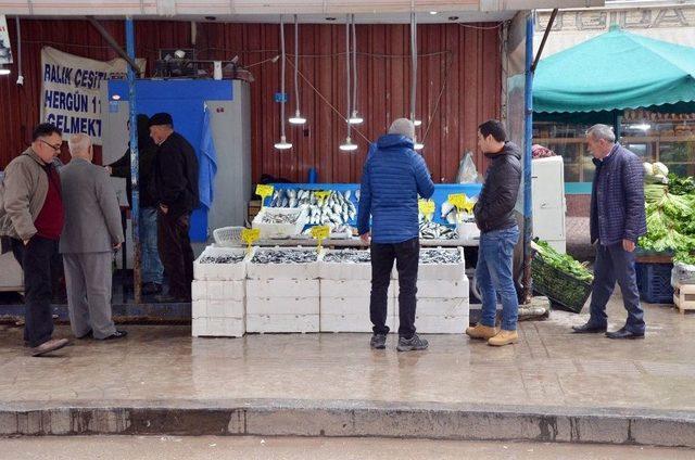 Ordulu Balıkçılar Hamsinin Peşine Gürcistan’a Gitti 2