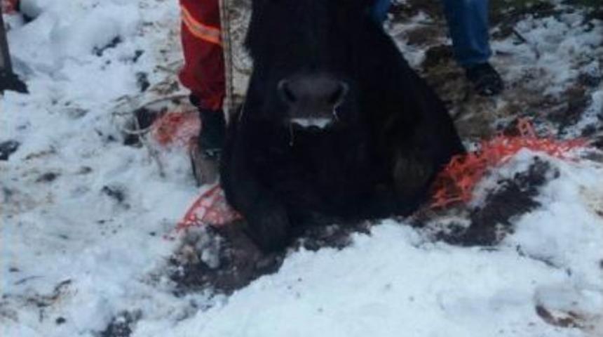 Manda Kurtarma Operasyonu