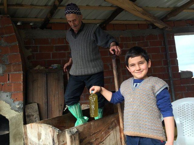 Manisa’da 600 Yıllık Yöntemle Zeytin Yağı Çıkarılıyor