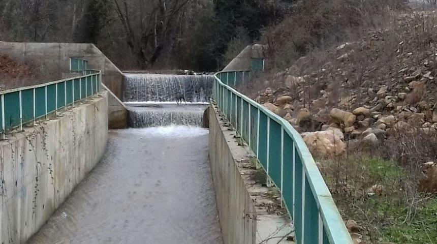 Su Kanalına D&uuml;şen Karaca Kurtarıldı