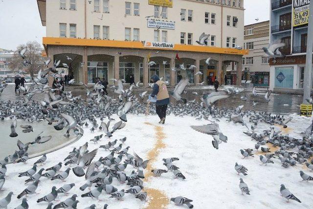 Konya’da Kuşlara Ve Sahipsiz Hayvanlara Yem Bırakılıyor