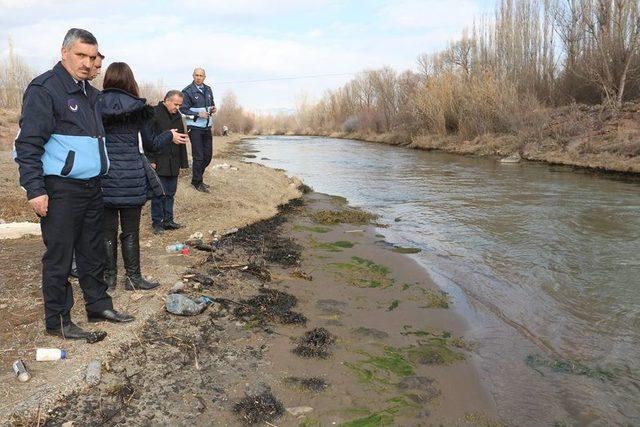 Oltu’daki Balık Ve Kuş Ölümleri Araştırılıyor