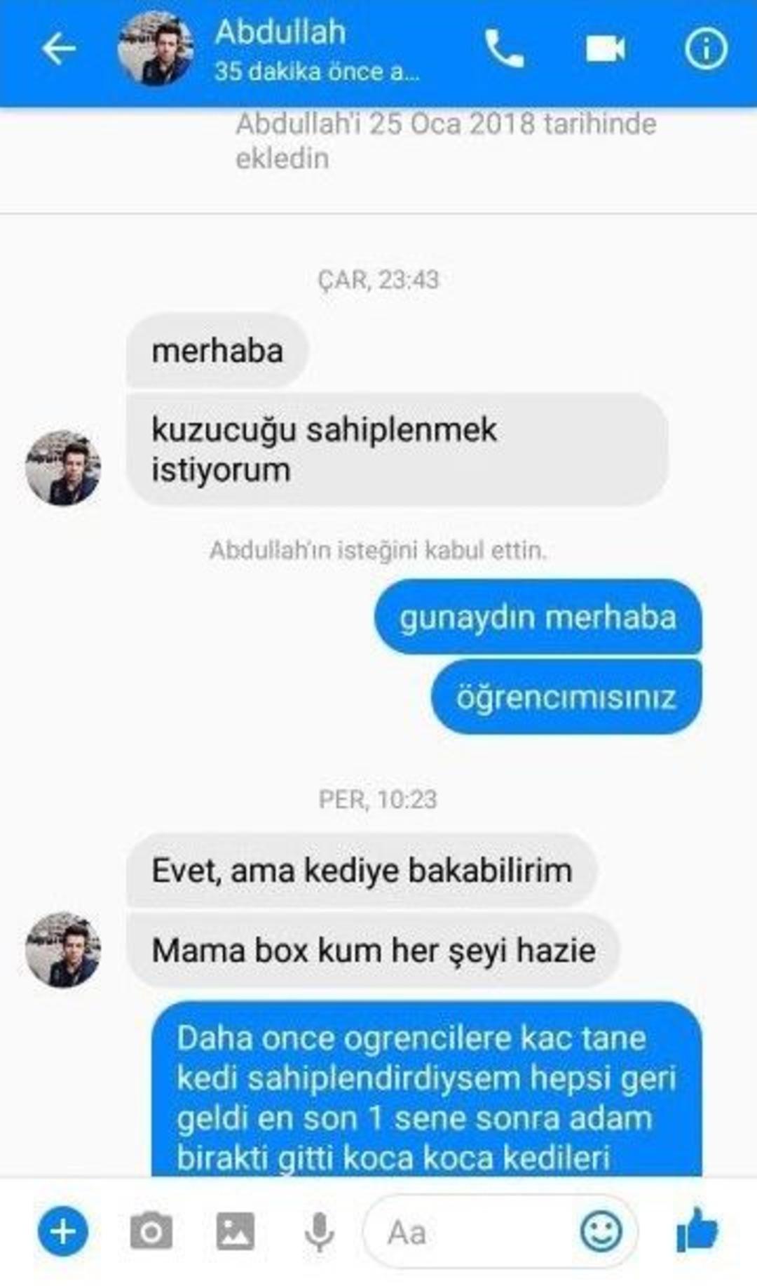 Eskişehir’de Kedi Vahşeti